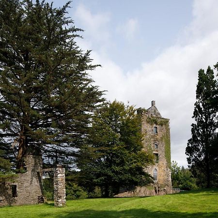 Dripsey Castle Estate Villa Cork Dış mekan fotoğraf