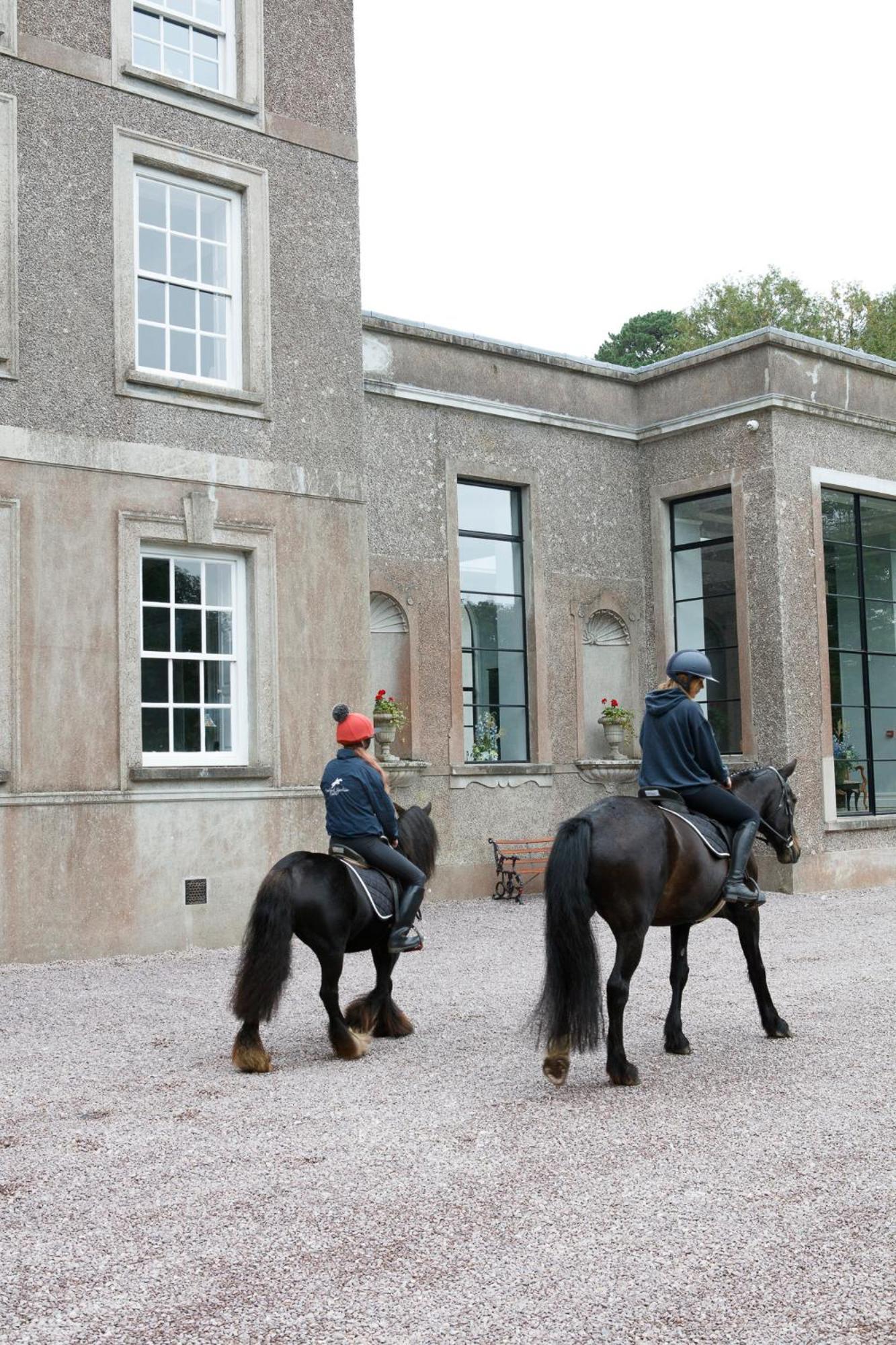 Dripsey Castle Estate Villa Cork Dış mekan fotoğraf