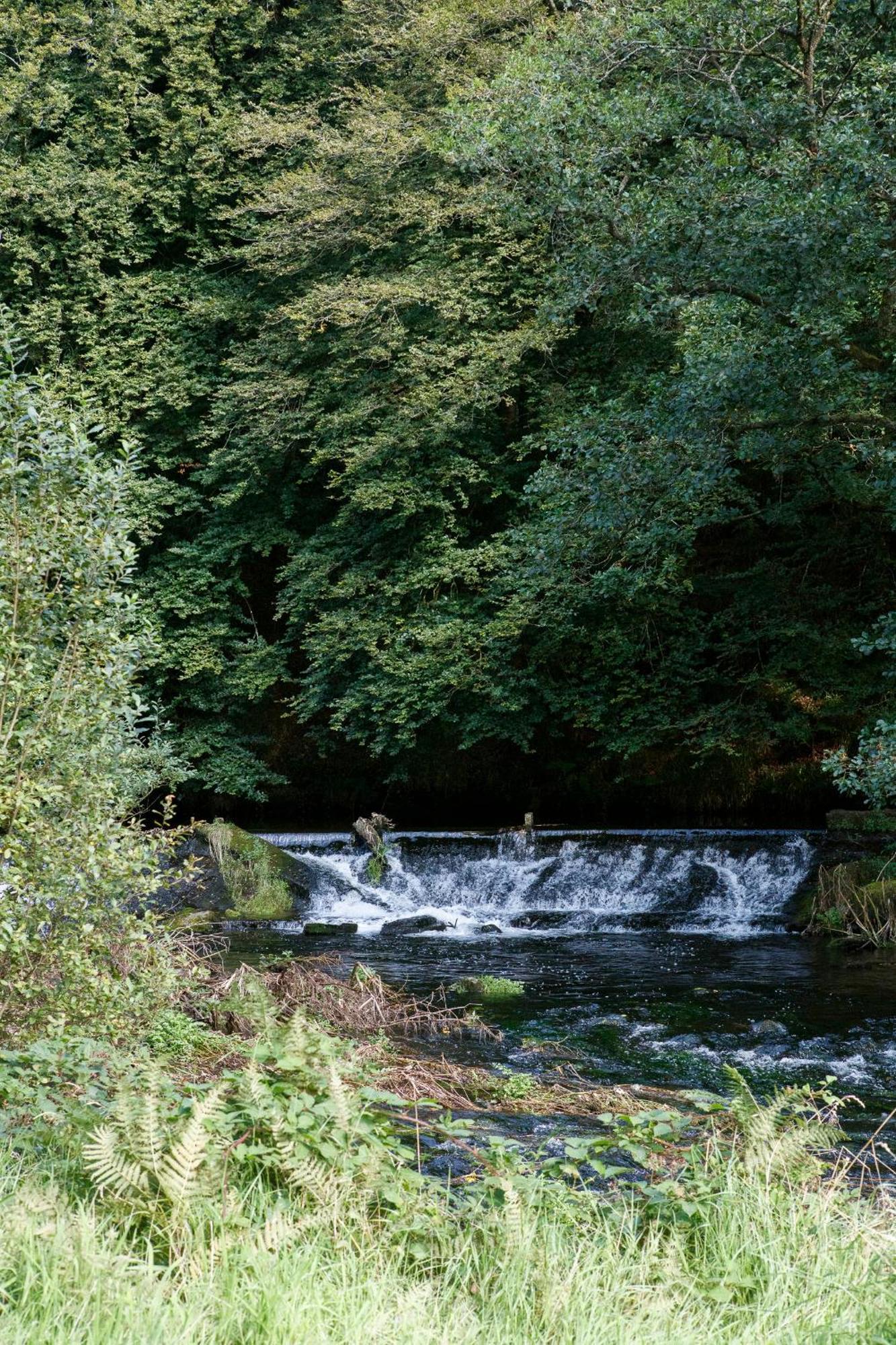 Dripsey Castle Estate Villa Cork Dış mekan fotoğraf