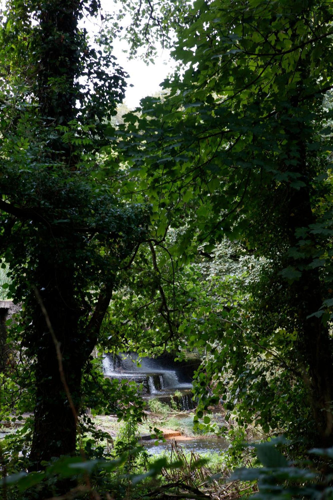Dripsey Castle Estate Villa Cork Dış mekan fotoğraf