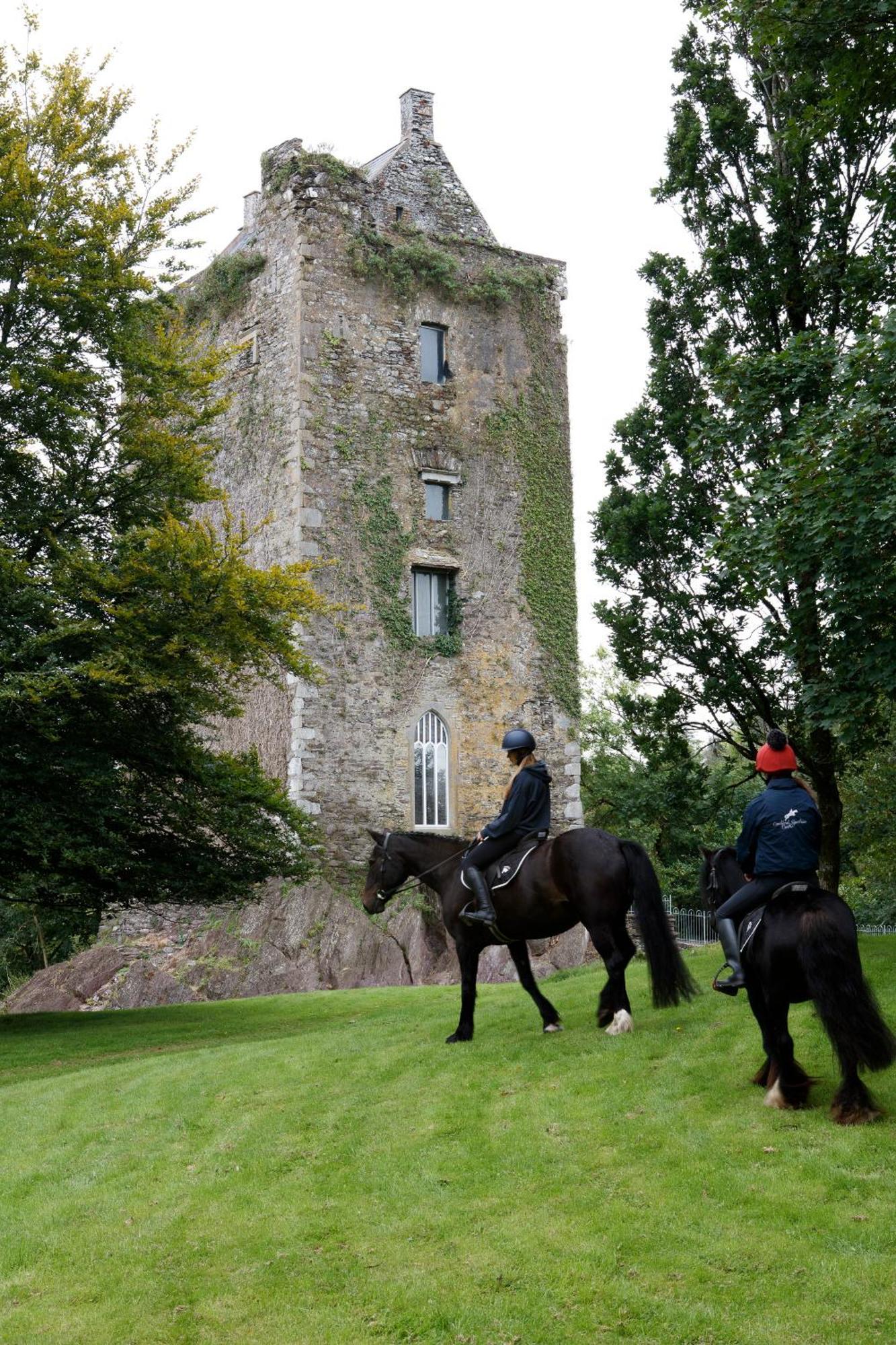 Dripsey Castle Estate Villa Cork Dış mekan fotoğraf