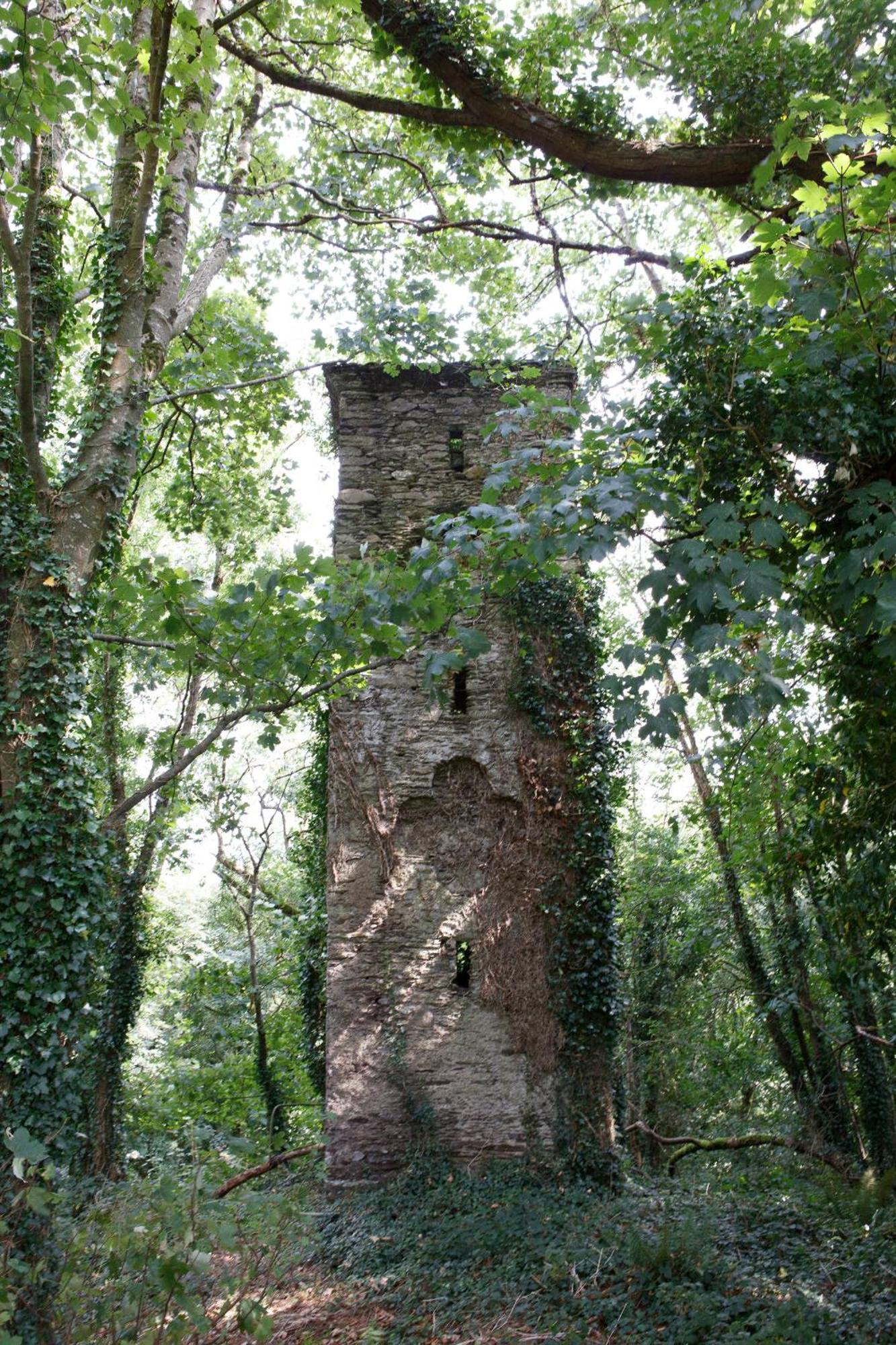 Dripsey Castle Estate Villa Cork Dış mekan fotoğraf